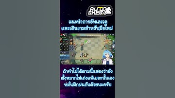 แนะนำการอัพเลเวลและเดินเกมสำหรับมือใหม่ #OkamiJ | Auto chess