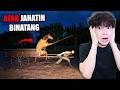 Gua jadi PENJAGA HEWAN TERNAK tapi MAKIN MALEM HEWANNYA makin SUS. - Scary Game 2