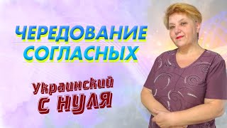 🇺🇦 Украинский язык с самого НУЛЯ  • Чередование согласных • 【 Урок - 1 】