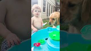 Golden Retriever Can't Wait To Play Fetch With Baby Brother | The Dodo