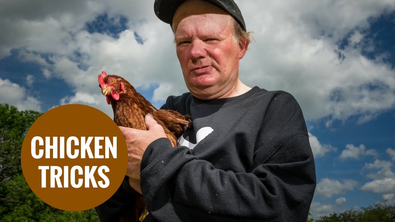 Animal lover plans to enter Britain's Got Talent after teaching his