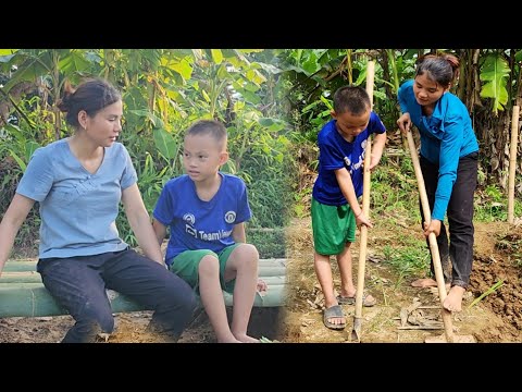 Cut trees preparing to build houses, dig ponds and put water pipes home, 23 -year -old girl