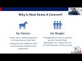 Updates to US Equestrian's Guidance on Heat and Air Quality for Horse Owners