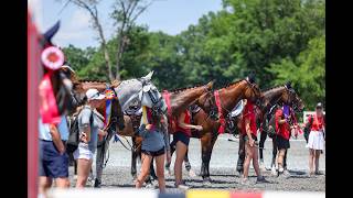 Updates to US Equestrian's Guidance on Heat and Air Quality for Horse Owners