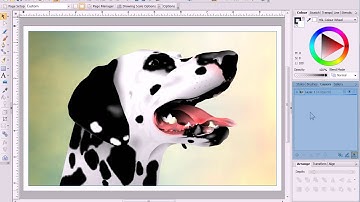 Serif DrawPlus X6 Tutorial - Discover DrawPlus