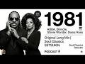 1981 DJ Mix | Best 80s Hits & Soul Classics | ABBA, Blondie, Stevie Wonder, Diana Ross | Sestukin