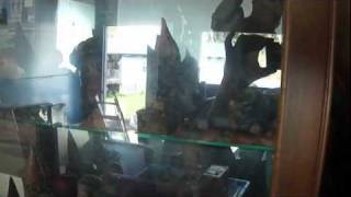 Tom Clark Gnomes and Display for Sale.MP4
