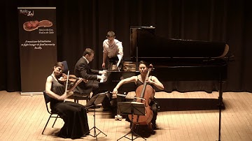 Schubert Notturno in E-flat, Op. 148 D. 897 (Namirovsky-Lark-Pae Trio)