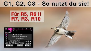 Hole Alles Aus Deiner Kamera Raus Individuale Aufnahmemodi Tutorial Für Canon Eos R Kameras