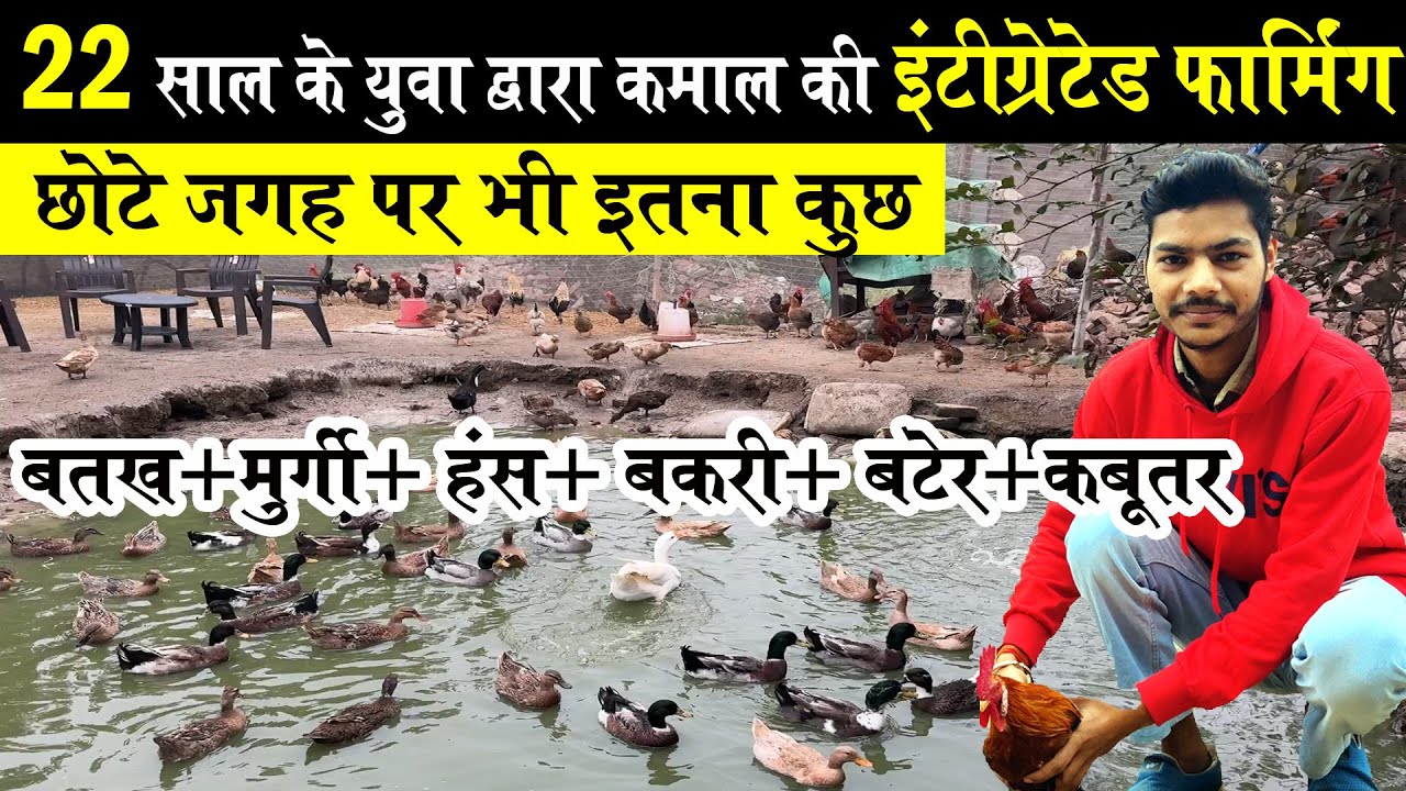 इतने कम जगह में एक साथ बतख +मुर्गी +हंस + बकरी+ बटेर +कबूतर कमाल की Integrated Farming Model system