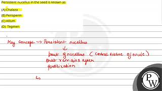Persistent nucellus in the seed is known as....