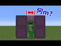 何分の１マスなら通れる？【マイクラ 検証】