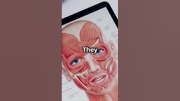 Deepfake Detection — How It Works script #shorts