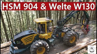 HSM 904 & Welte W130 im Schwarzwald | Forstservice Schnaitter