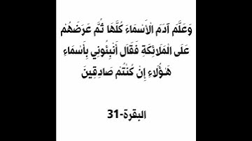 سورة البقرة الآية 31 #القرآن_الكريم #سورة_البقرة #الحمزة_سدراية #اكسبلور