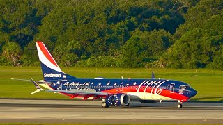 Birds Over Runway Southwest 1776 Spotting TPA