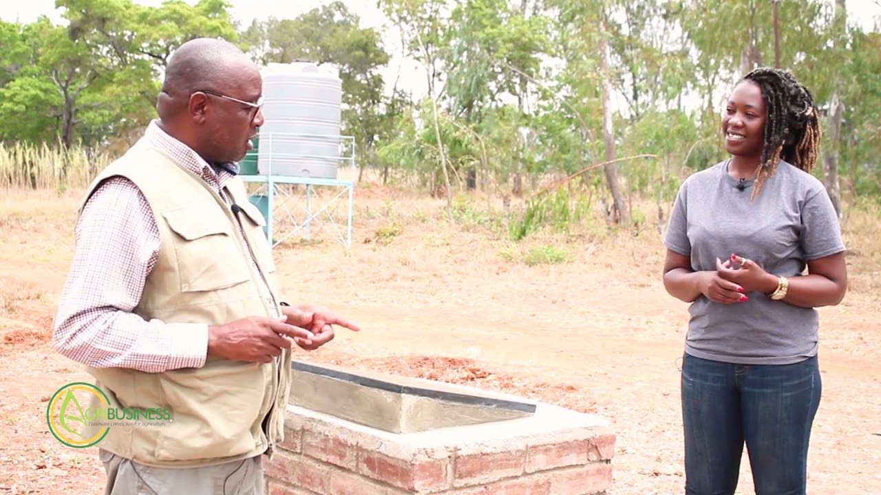 Still from AGRICULTURAL COLLEGES SOLARISATION PROGRAM IN Zimbabwe