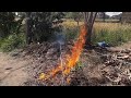حرق الحشائش الضاره Burning Weeds حرق الحشائش الضاره Burning Weeds