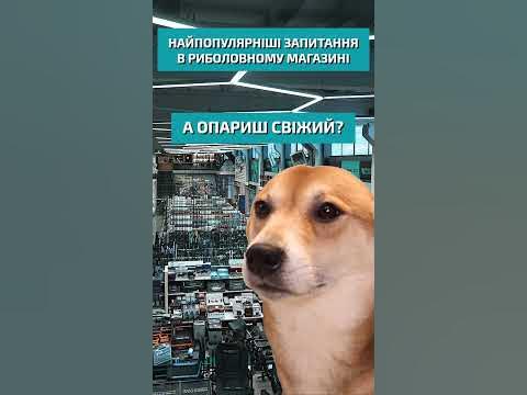 🤣 Найпопулярніші запитання у магазинах Flagman - YouTube