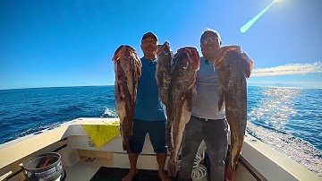 Deep Drop Fishing for Lingcod | Limited Out Using Live Sand Dabs