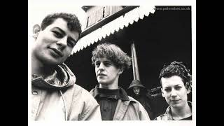 pale saints a 1000 stars burst open live