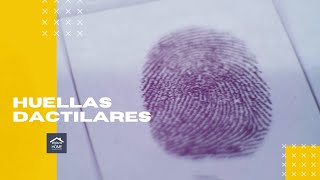 Huellas dactilares - Talleres de ciencia en casa