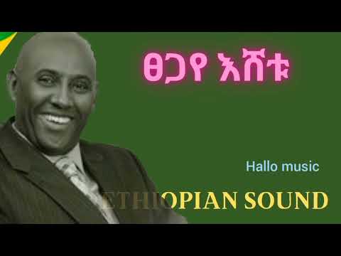 ፀጋየ እሸቱ Eski Zelel Zelel እስኪ ዘለል ዘለል Hallo Music Lyrics