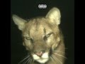 VonTooCut - Perfect [Official Audio]