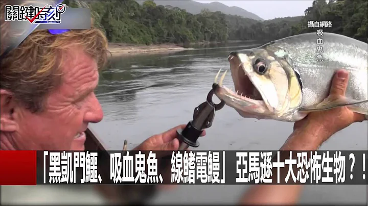 恐怖食人鱼 秘鲁11岁少年跌入鱼池捞起仅剩一堆白骨... 黄创夏 朱学恒 马西屏 黄世聪 20160606-3 关键时刻 - 天天要闻