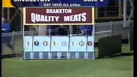 Singleton greyhound race, 2000