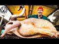 😱क्या आपने OSTRICH का मीट खाया है ? How to make ostrich meat ? - Fact express 60