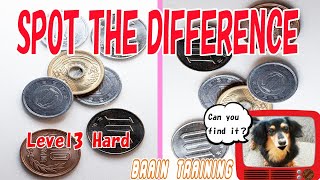 【Spot the difference】＃13“Brain Games” World picture Puzzles  Level3 Hard Find 5 differences screenshot 5