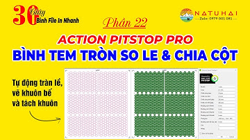 Review Chi Tiết Action Pitstop Pro 24.11 Bình Tem Tròn Và Chia Cột | Natuhai #tutorial  | Phần 22
