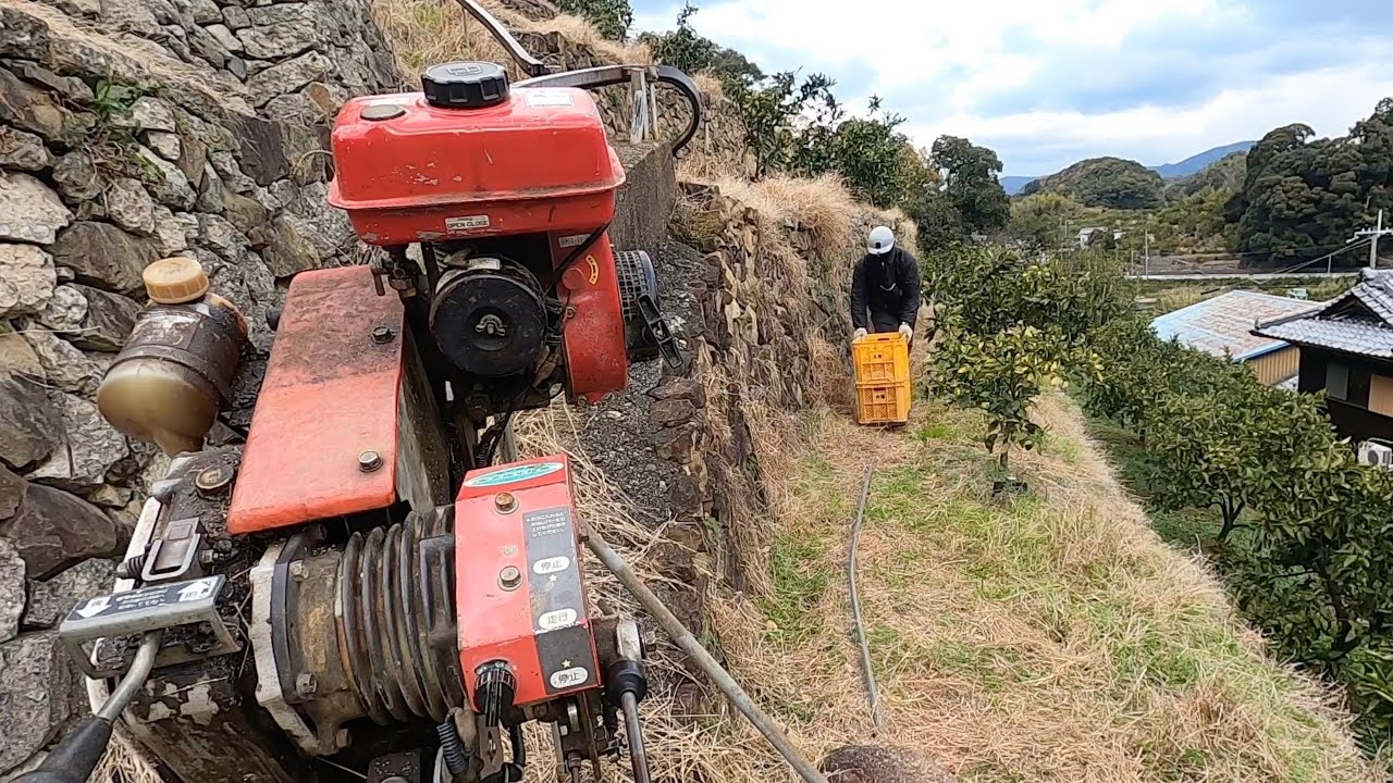 みかんの段々畑を上るモノラックFPV / Agricultural monorail FPV climbing terraced fields of Mikans