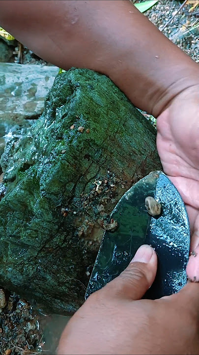 Tambang emas liar dihutan #tambang #emas #goldmining #shorts