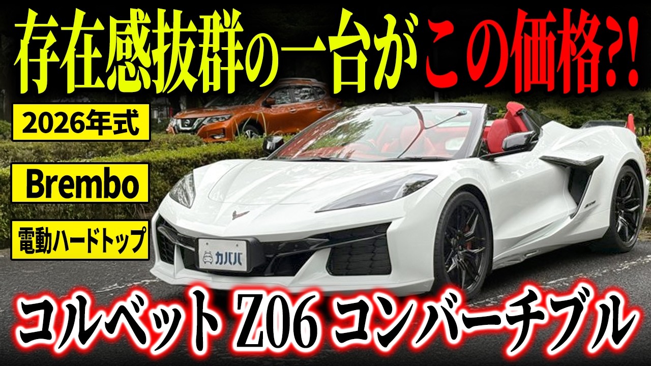 Chevrolet Corvette Z06 Convertible] A rare convertible you can