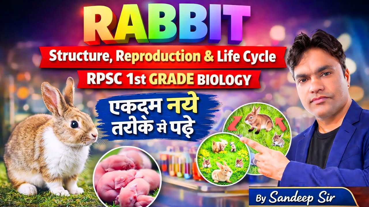 How Rabbit Reproduce Rabbit Structure, Reproduction & Life Cycle | RPSC 1st Grade Biology ...