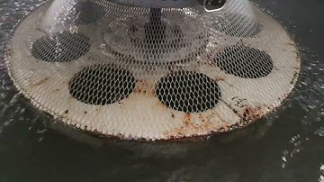 plastic net machine, rotary die head mesh machine, 50gsm, +86-182 2129 6578