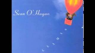 Video thumbnail of "SEAN O'HAGAN   trees"