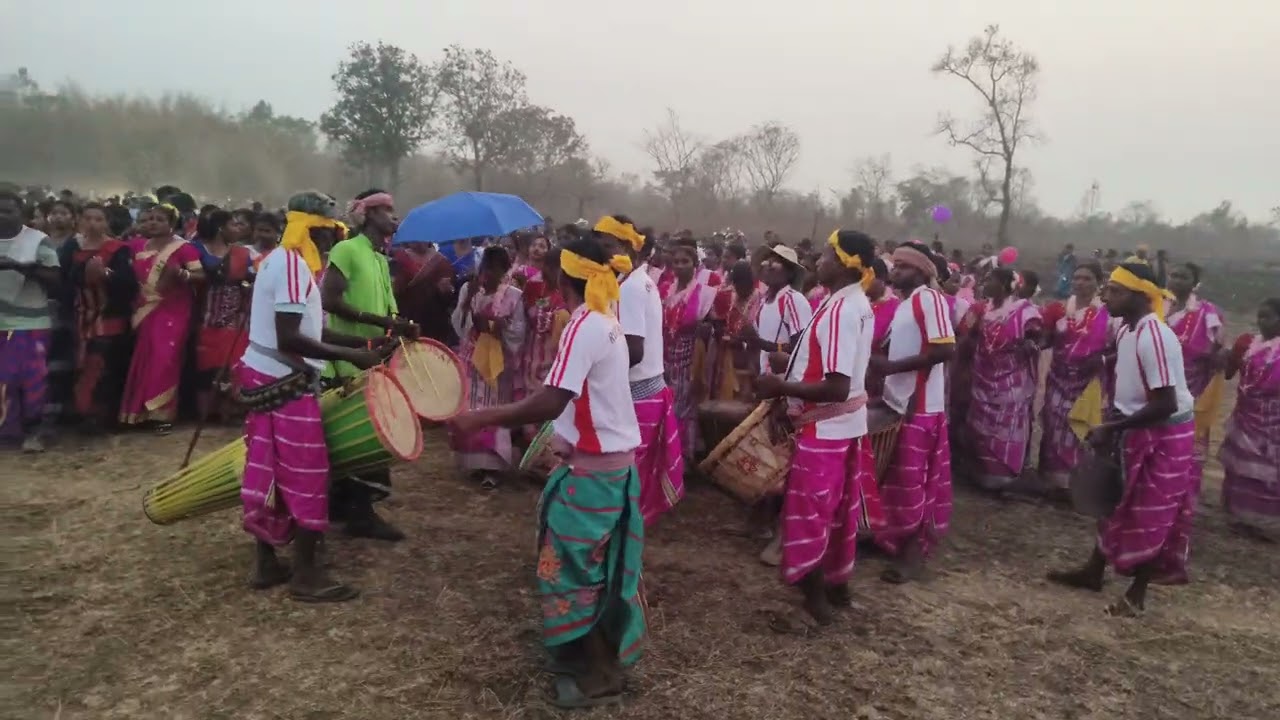 New Santali Video 2026 #adivasi #dance #dhabulenej #dhabultamsa 