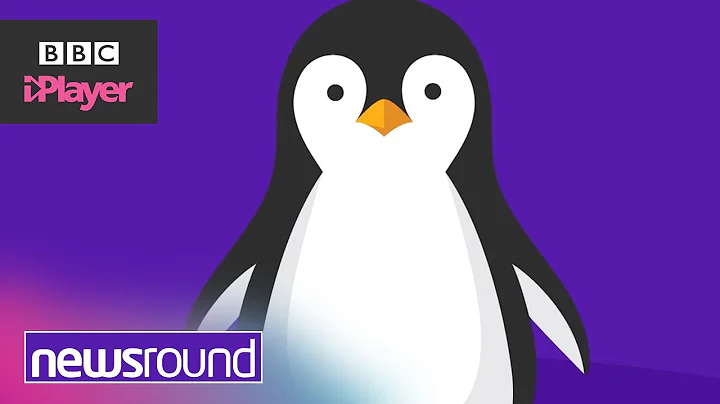 Can penguins fly? | Newsround explains