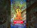 गौतम बुद्ध के उपदेश : Buddhist Motivation #buddha #27