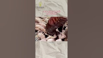 Cách làm cá ngừ đóng hộp #tomtatnhanh #reviewnhanh #quytrinhsanxuat #khampha #kienthuc #food