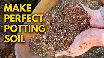 The PERFECT Potting Soil Mix for Soil Blocks & Seedling Trays