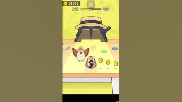 Hide and seek cat escape game level 561 #shortsfeed #youtubeshorts #ytshorts #trendingshorts #shorts