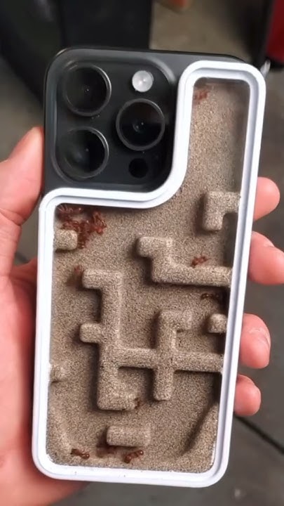 😱ЖИВОЙ Чехол на Айфон🤪 - YouTube