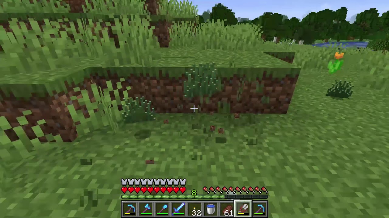 How to pick up Wild Grass and put it in your inventory Minecraft