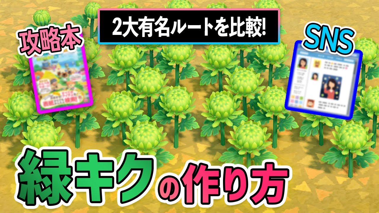 緑キクの作り方 攻略本ルートとtwitterで有名なルートを比較 どっちがいい メリットを徹底比較 あつ森 Youtube