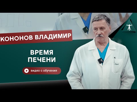 Акупунктура и сон. Время печени. Традиционная китайская медицина. Кононов Владимир