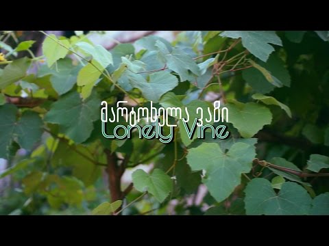 Lonely Vine - Short Film NV Cinematography (Sony NEX-VG30)